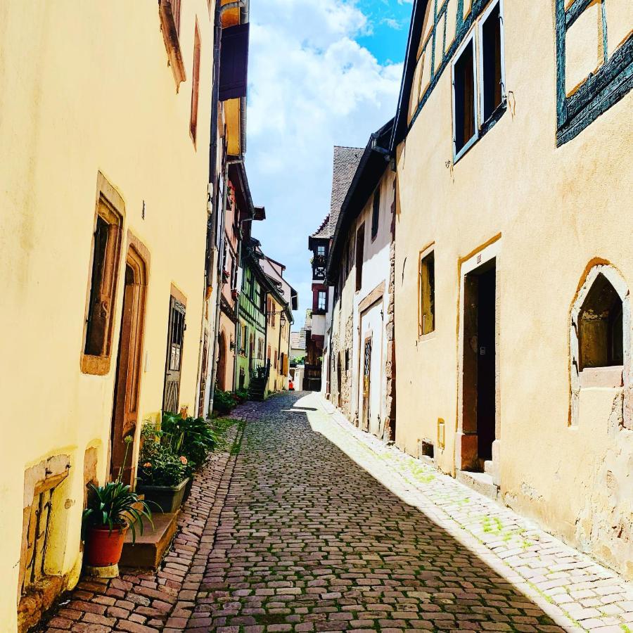 La Ruelle Alsacienne, Charme Alsacien Et Confort Moderne Riquewihr Zewnętrze zdjęcie